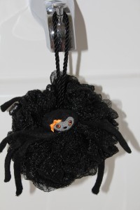spider loofah