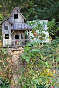 haunted birdhouse